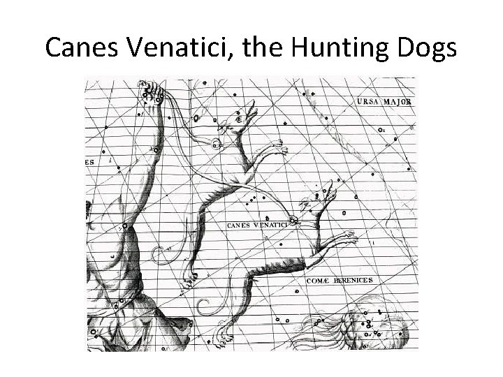 Canes Venatici, the Hunting Dogs 