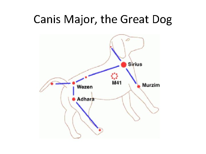 Canis Major, the Great Dog 