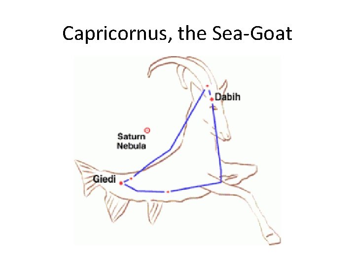 Capricornus, the Sea-Goat 