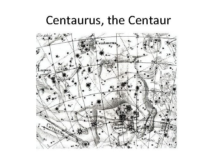 Centaurus, the Centaur 