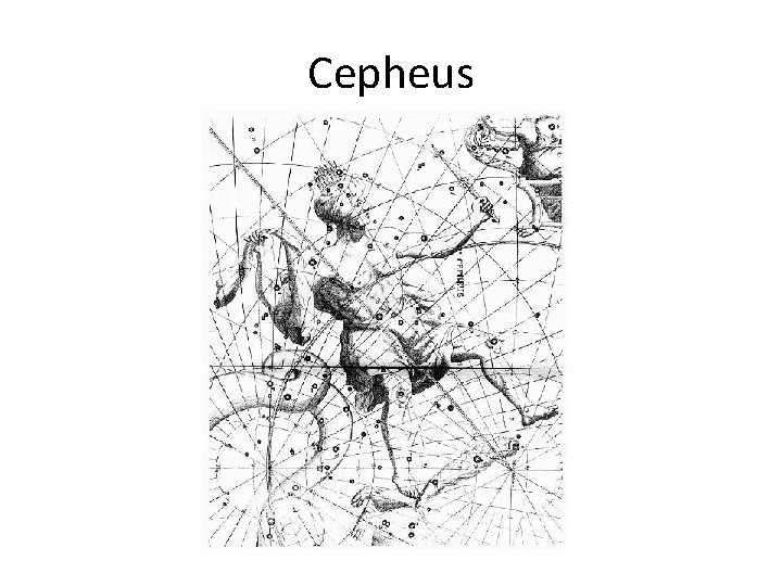 Cepheus 