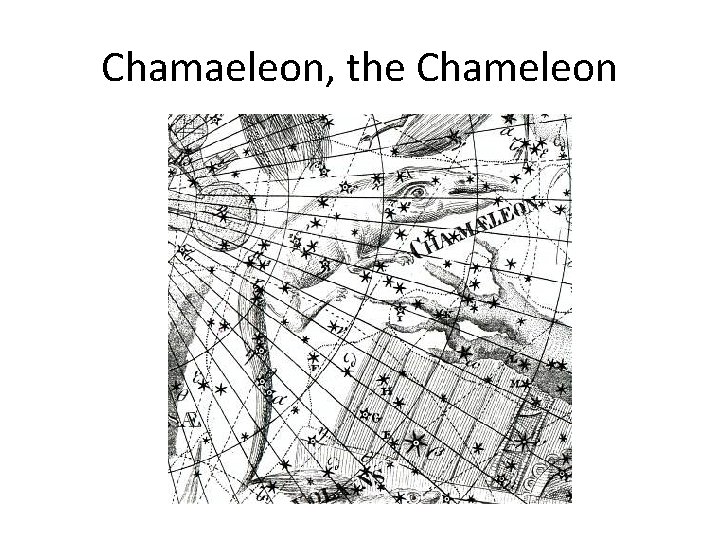 Chamaeleon, the Chameleon 