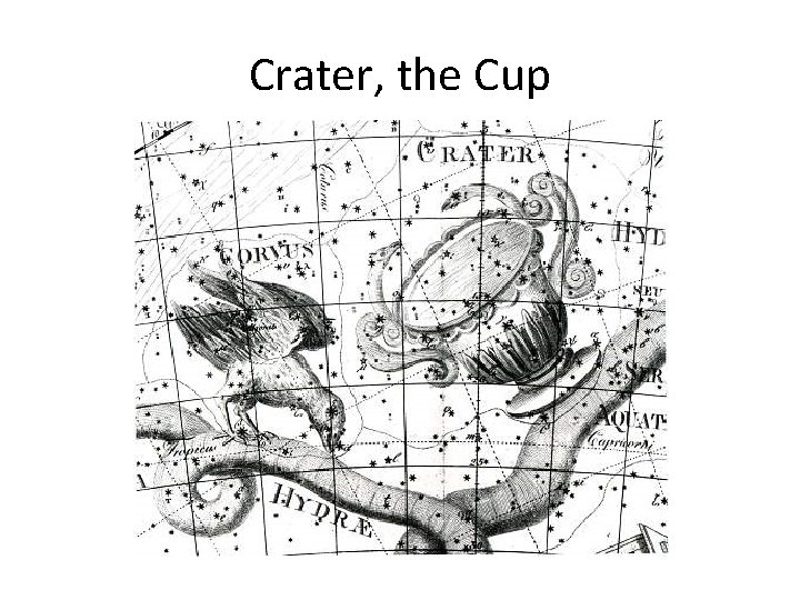 Crater, the Cup 