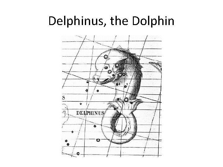 Delphinus, the Dolphin 