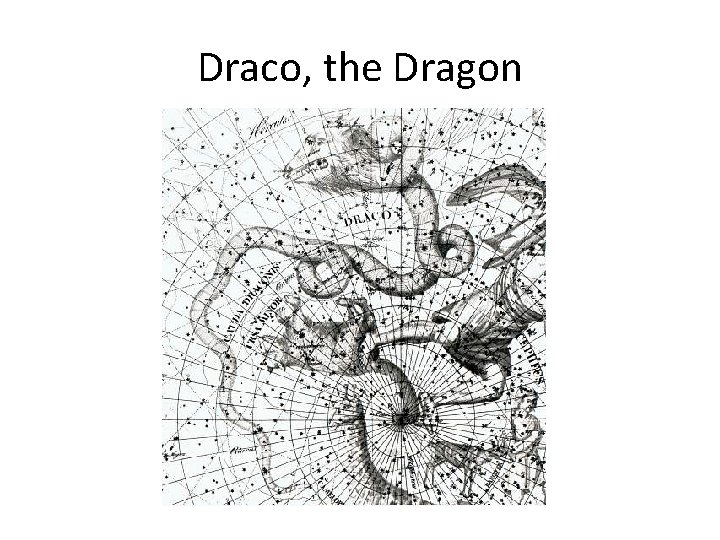 Draco, the Dragon 