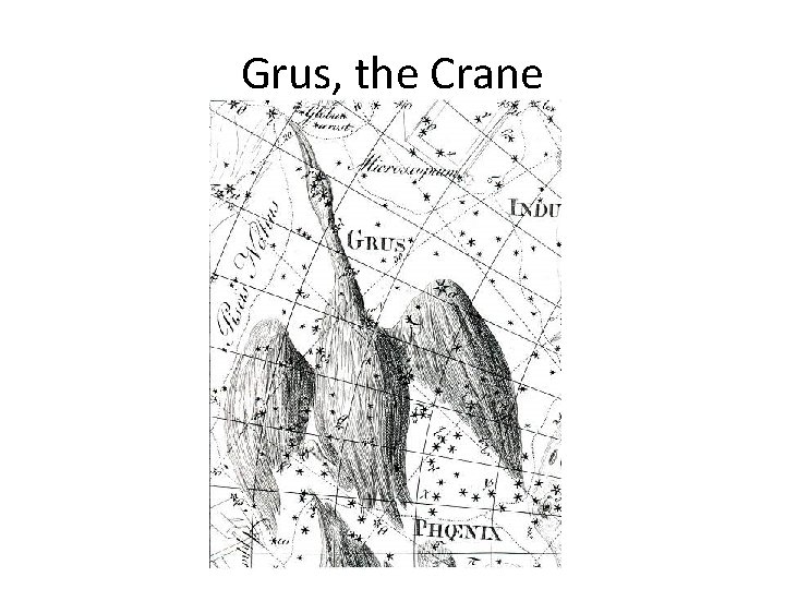 Grus, the Crane 