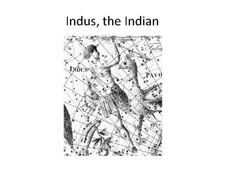 Indus, the Indian 