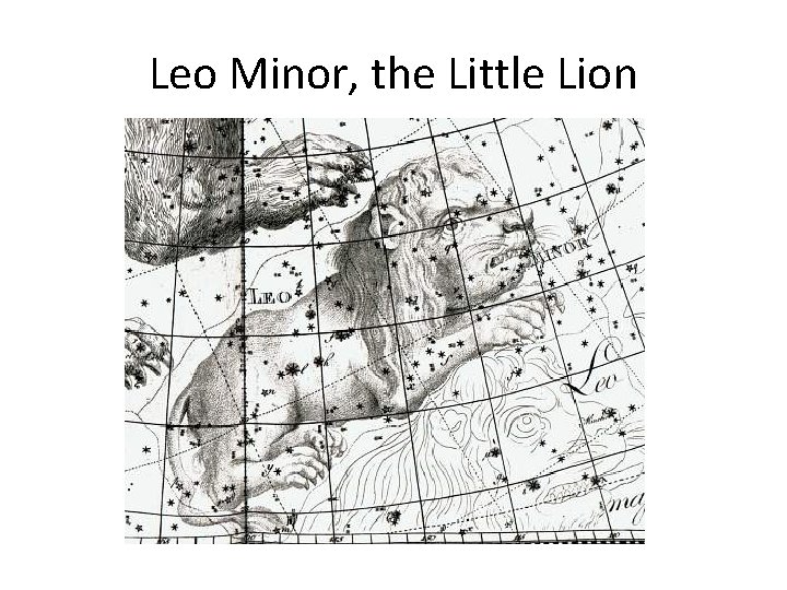 Leo Minor, the Little Lion 