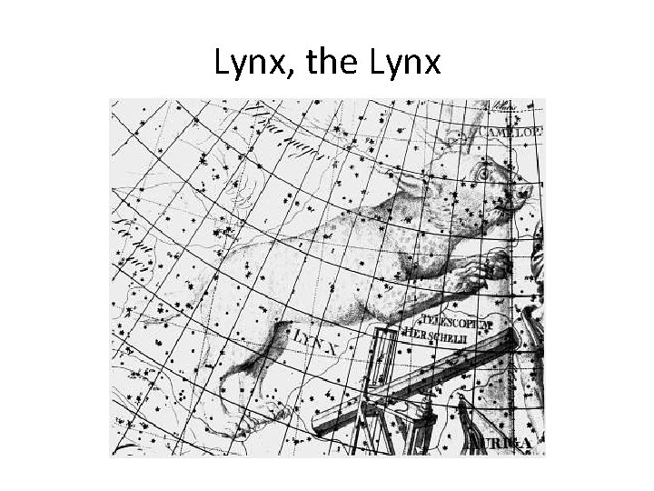 Lynx, the Lynx 