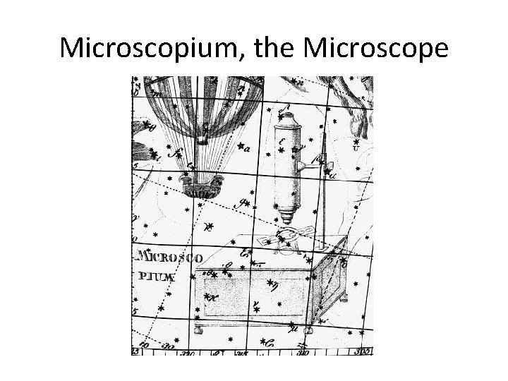 Microscopium, the Microscope 