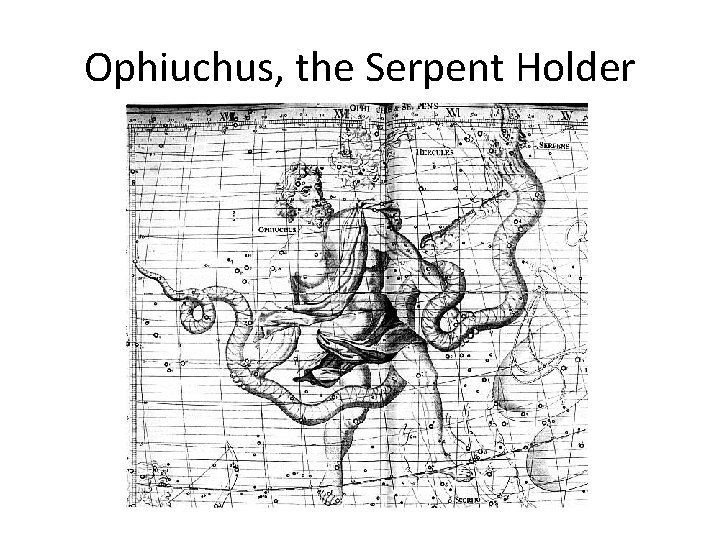 Ophiuchus, the Serpent Holder 