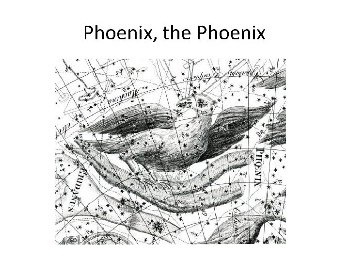 Phoenix, the Phoenix 