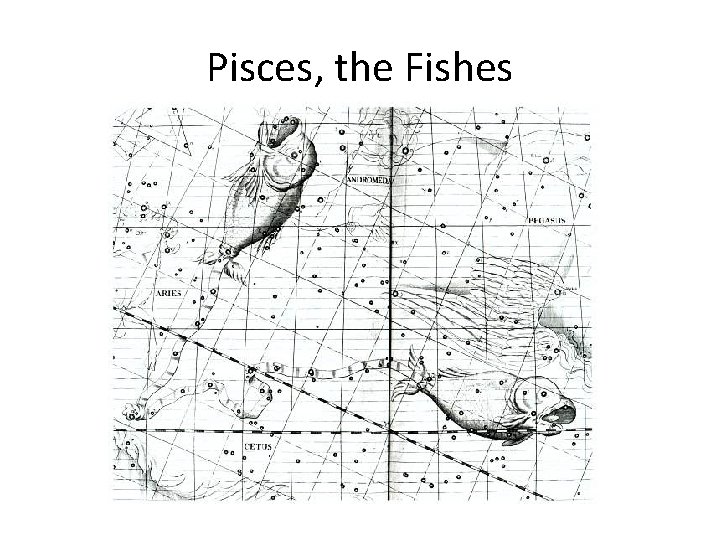 Pisces, the Fishes 