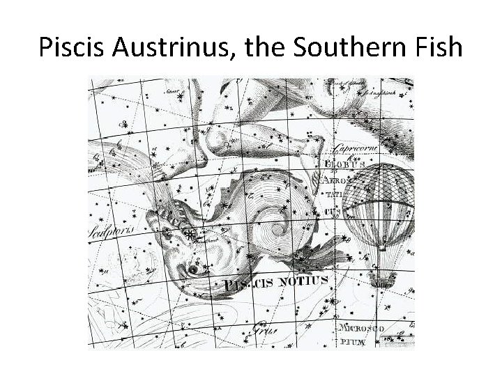 Piscis Austrinus, the Southern Fish 