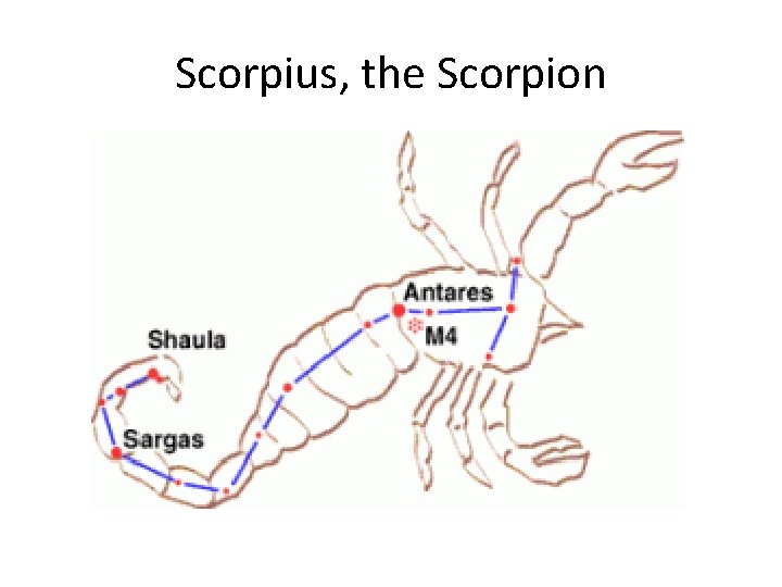 Scorpius, the Scorpion 
