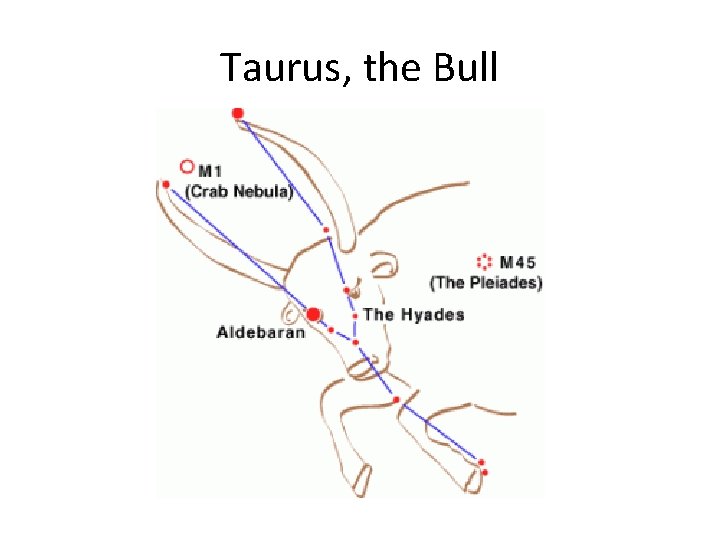 Taurus, the Bull 