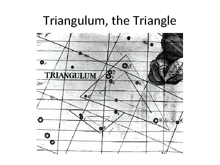 Triangulum, the Triangle 