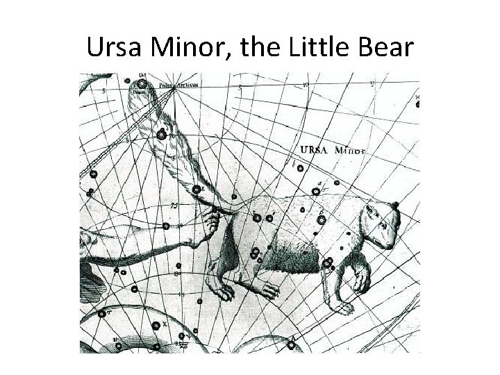 Ursa Minor, the Little Bear 