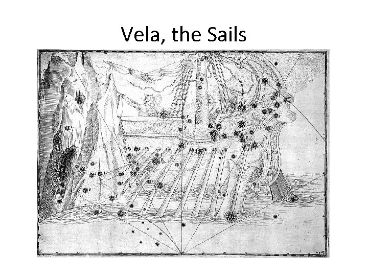 Vela, the Sails 