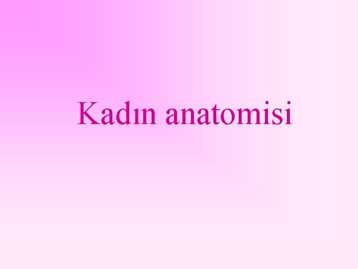 Kadın anatomisi 