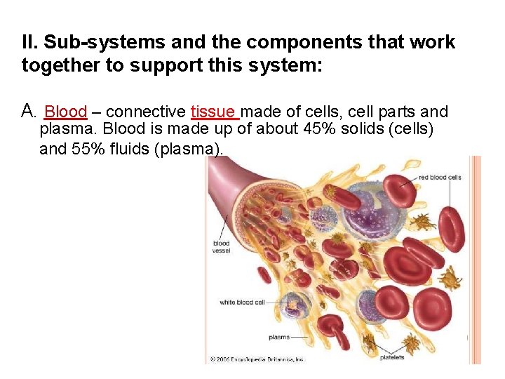 ll. Sub-systems and the components that work together to support this system: A. Blood