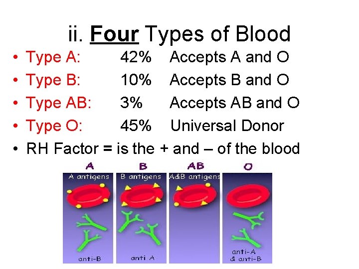 ii. Four Types of Blood • • • Type A: 42% Accepts A and