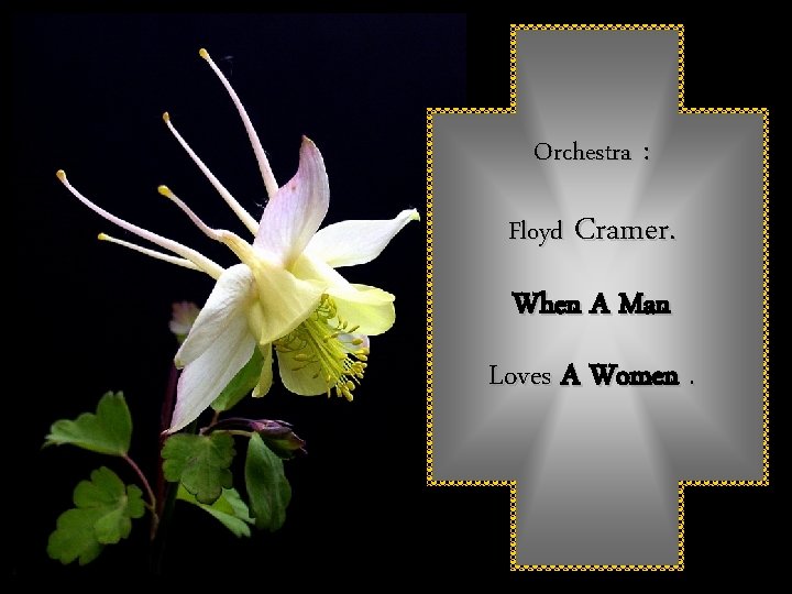 Orchestra : Floyd Cramer. When A Man Loves A Women. 