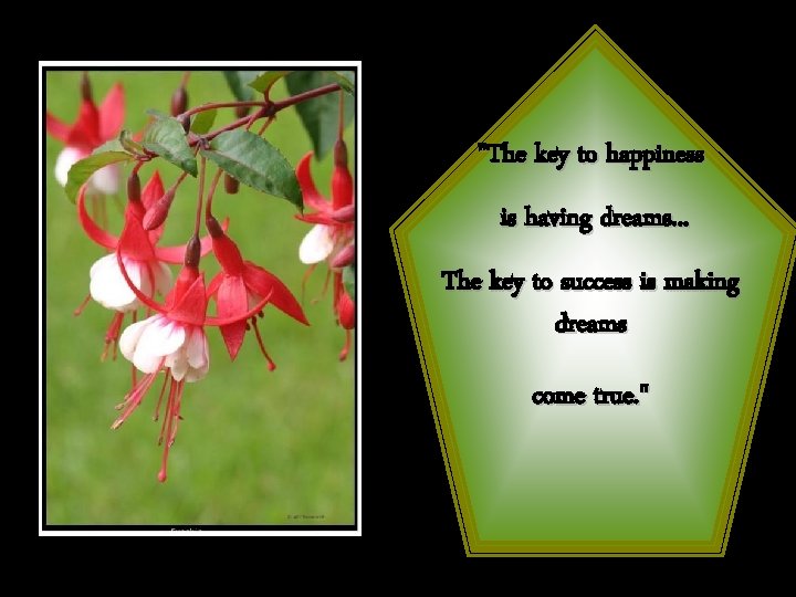 "The key to happiness is having dreams. . . The key to success is