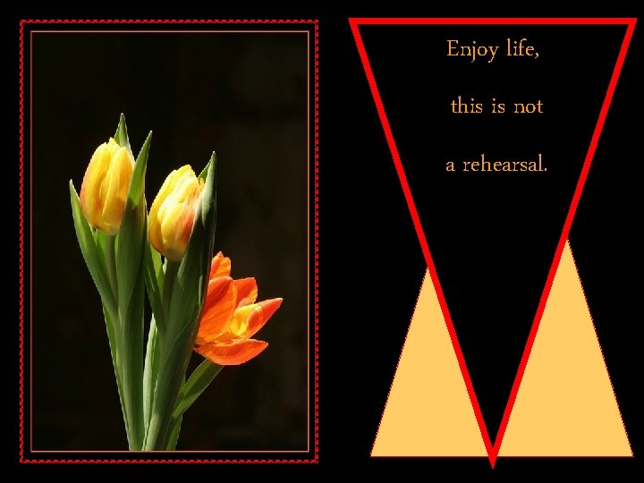 Enjoy life, this is not a rehearsal. 