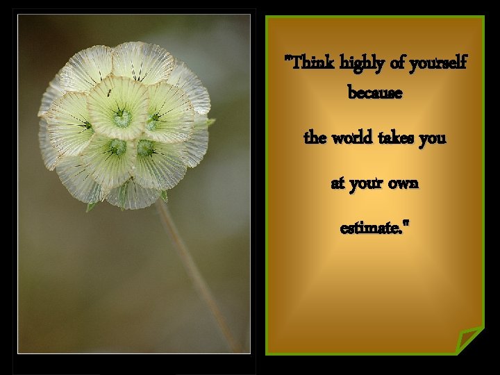 "Think highly of yourself because the world takes you at your own estimate. "