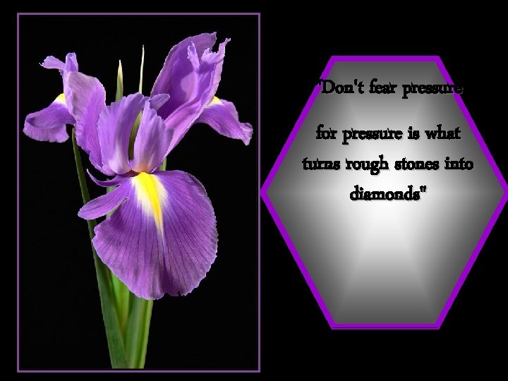 "Don't fear pressure for pressure is what turns rough stones into diamonds" 