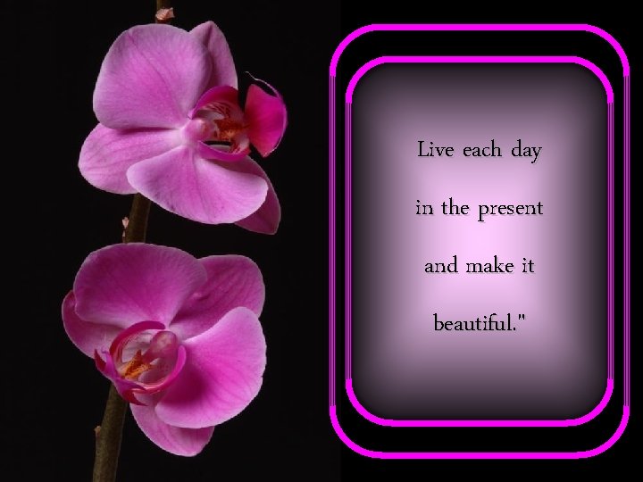 Live each day in the present and make it beautiful. " 