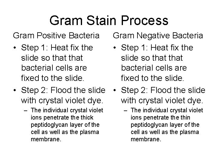 Gram Stain Process Gram Positive Bacteria Gram Negative Bacteria • Step 1: Heat fix