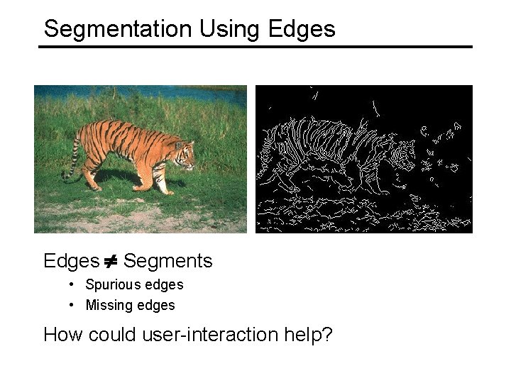 Segmented Snake Image Today Image Segmentation Techniques Snakes Scissors Graph Cuts