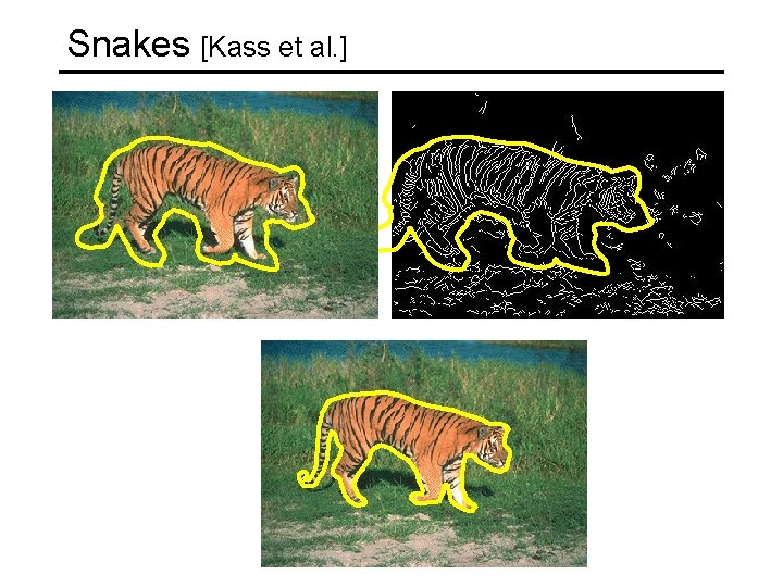 Segmented Snake Image Today Image Segmentation Techniques Snakes Scissors Graph Cuts