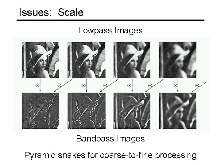 Snake Segmentation Today Image Segmentation Techniques Snakes Scissors Graph Cuts