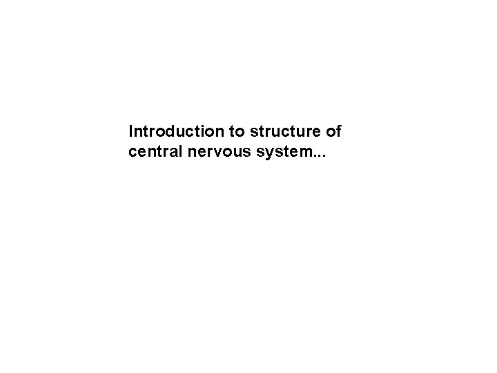 Introduction to structure of central nervous system. . . 