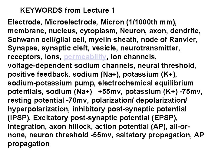 KEYWORDS from Lecture 1 Electrode, Microelectrode, Micron (1/1000 th mm), membrane, nucleus, cytoplasm, Neuron,