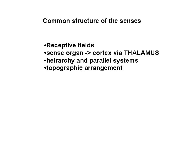 Common structure of the senses • Receptive fields • sense organ -> cortex via