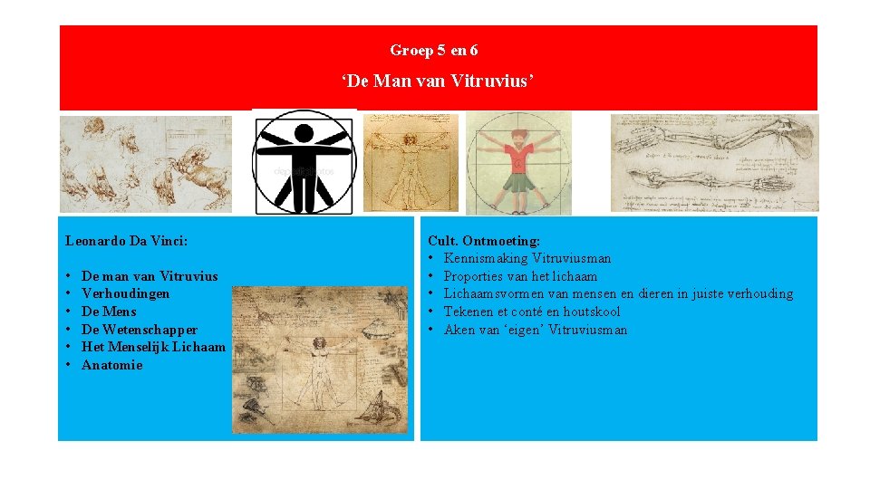 Groep 5 en 6 ‘De Man van Vitruvius’ Leonardo Da Vinci: • • •