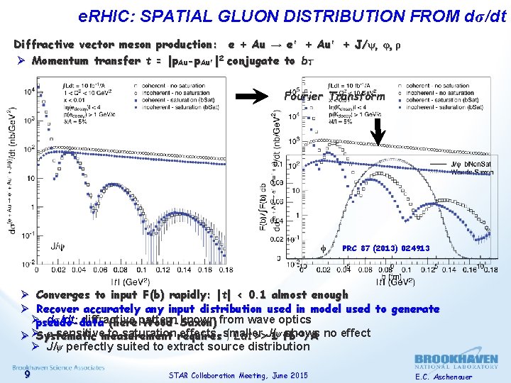 e. RHIC: SPATIAL GLUON DISTRIBUTION FROM dσ/dt Diffractive vector meson production: e + Au