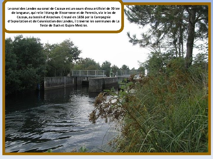 Le canal des Landes ou canal de Cazaux est un cours d'eau artificiel de