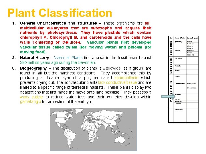 Plant Classification 1. 2. 3. General Characteristics and structures – These organisms are all