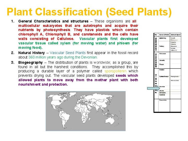 Plant Classification (Seed Plants) 1. 2. 3. General Characteristics and structures – These organisms