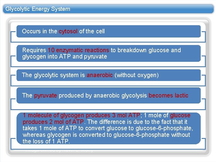 Glycolytic Energy System Occurs in the cytosol of the cell Requires 10 enzymatic reactions