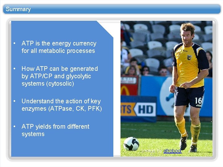 Summary • ATP is the energy currency for all metabolic processes • How ATP