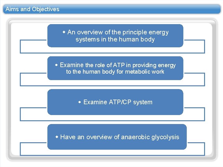 Aims and Objectives An overview of the principle energy systems in the human body