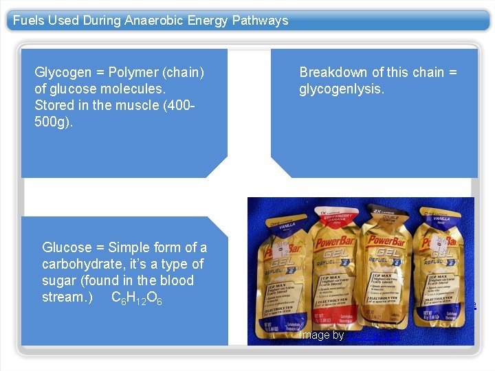 Fuels Used During Anaerobic Energy Pathways Glycogen = Polymer (chain) of glucose molecules. Stored