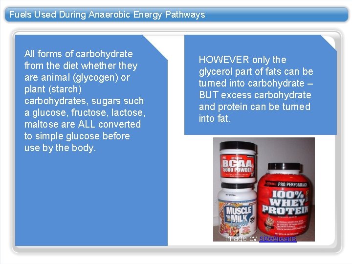 Fuels Used During Anaerobic Energy Pathways All forms of carbohydrate from the diet whether