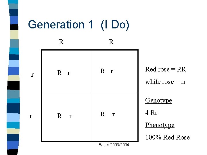 Generation 1 (I Do) R r R r Red rose = RR white rose